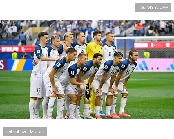 卡塔尔对波黑战报：1-3失利结束征程