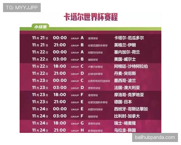 卡塔尔无缘世界杯32强：B组收官结果确定